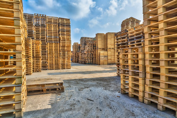 Pallet in legno: commercio, recupero e riparazione